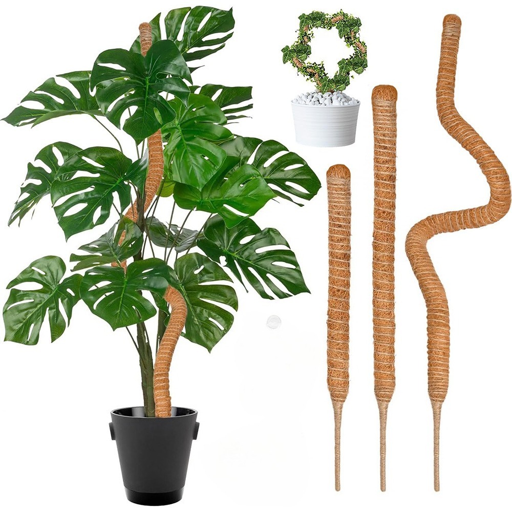 Monstera Thai Constellation - 30–100 cm biegbare Pflanzen-Kletterstütze, Moos-Kokos-Stange für