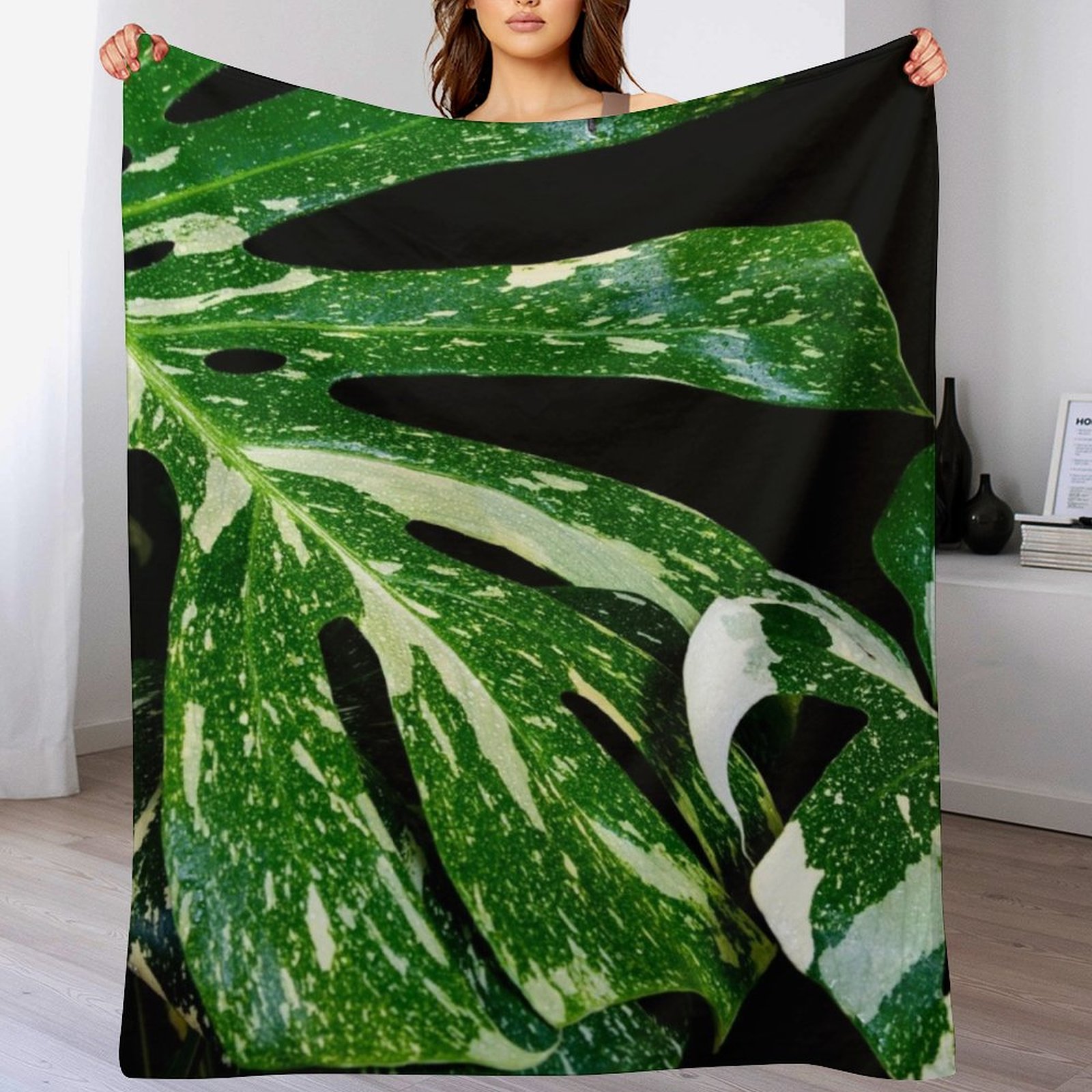 Monstera Thai Constellation Wo – Monstera Thai Constellation Bewertung und Preis