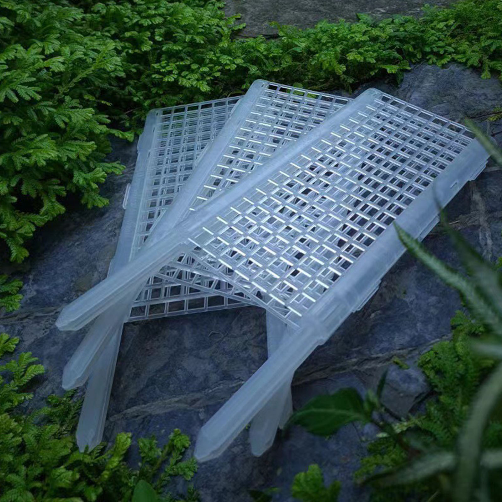Kunststoff-Moos stange für Pfl – Monstera Thai Constellation Bewertung und Preis