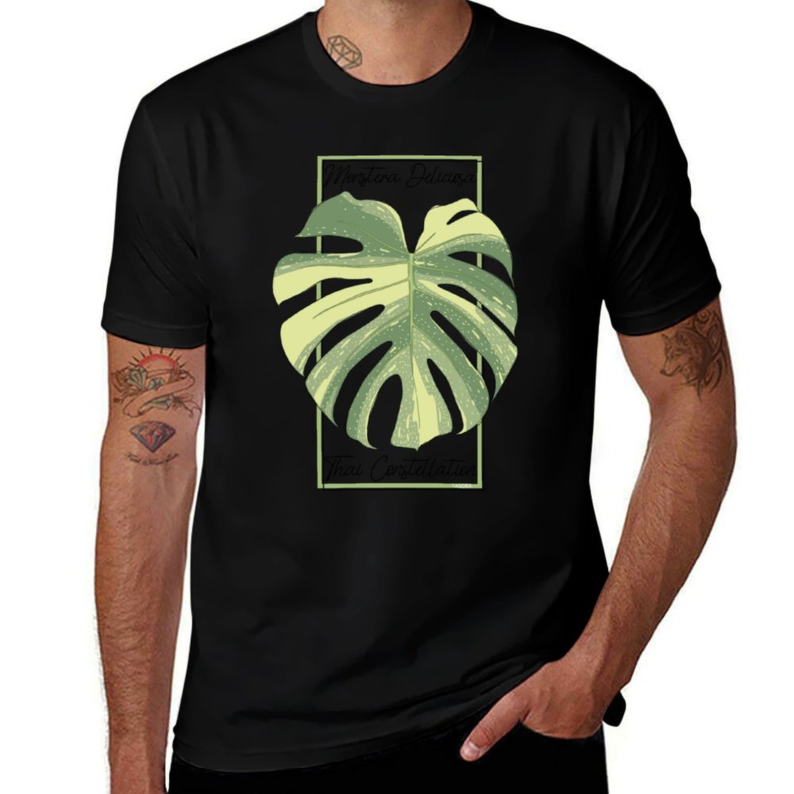 Monstera Thai Constellation Bo – Monstera Thai Constellation Bewertung und Preis