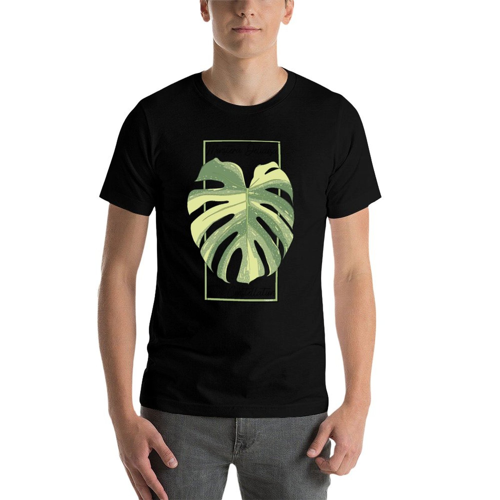 Monstera Thai Constellation Bo – Monstera Thai Constellation Bewertung und Preis
