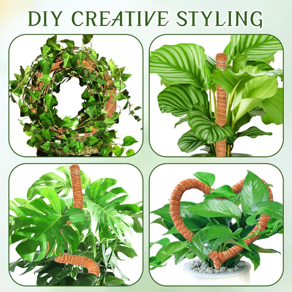 30–100 cm biegbare Pflanzen-Kl – Monstera Thai Constellation Bewertung und Preis