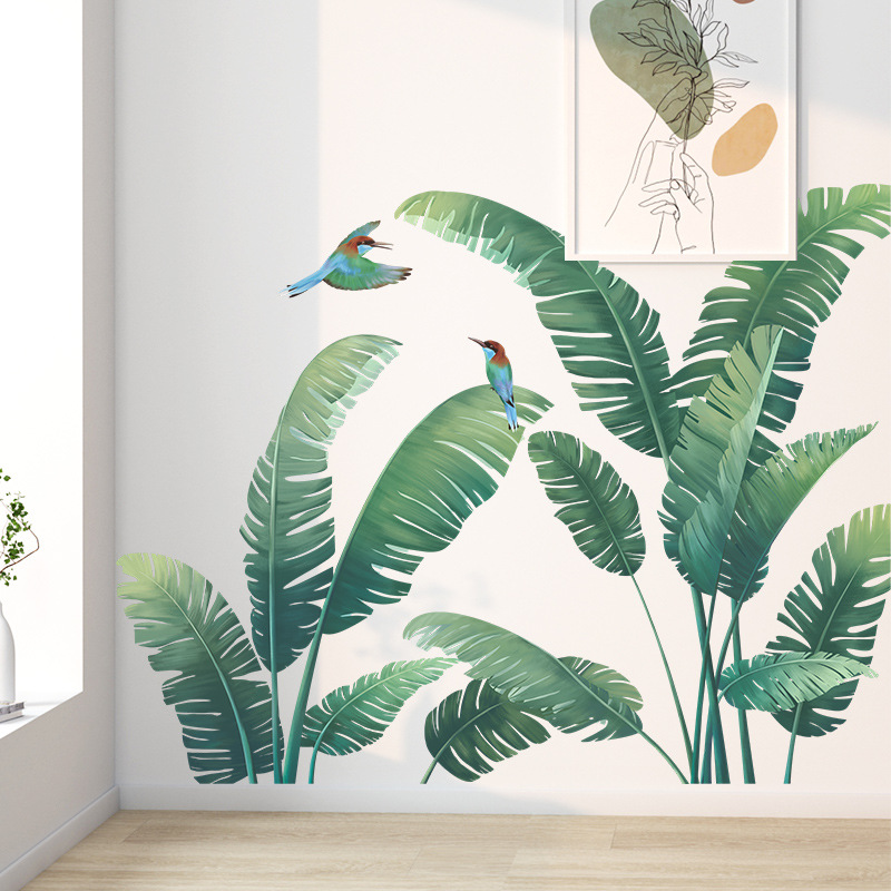 Tropische Pflanze Bananenblatt – Monstera Thai Constellation Bewertung und Preis