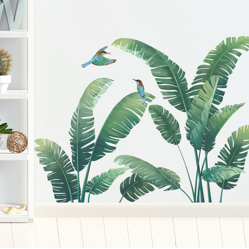Tropische Pflanze Bananenblatt – Monstera Thai Constellation Bewertung und Preis