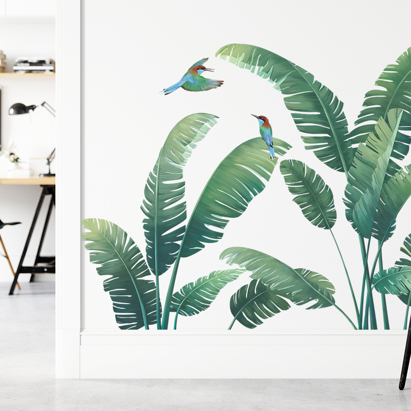 Tropische Pflanze Bananenblatt – Monstera Thai Constellation Bewertung und Preis
