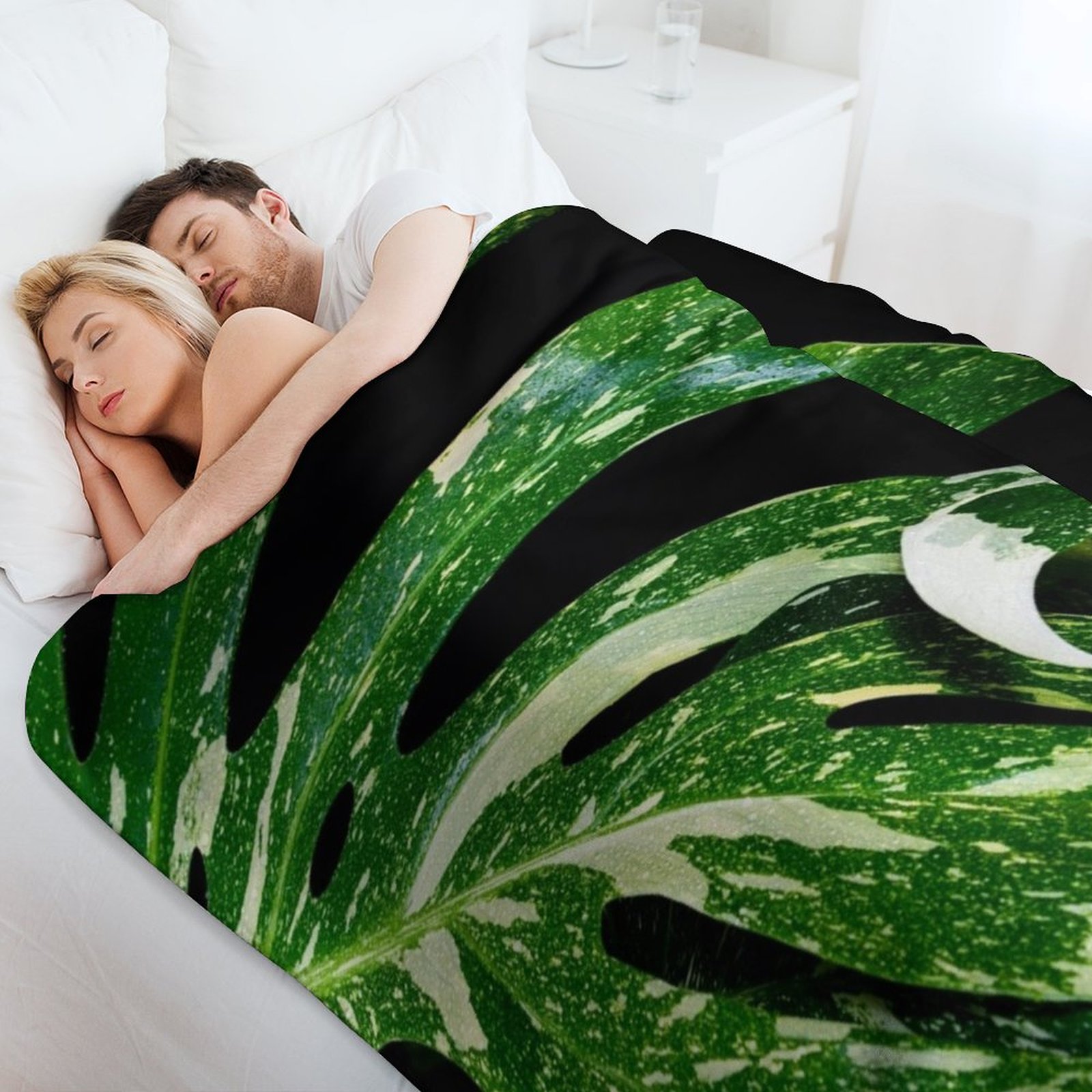 Monstera Thai Constellation Wu – Monstera Thai Constellation Bewertung und Preis