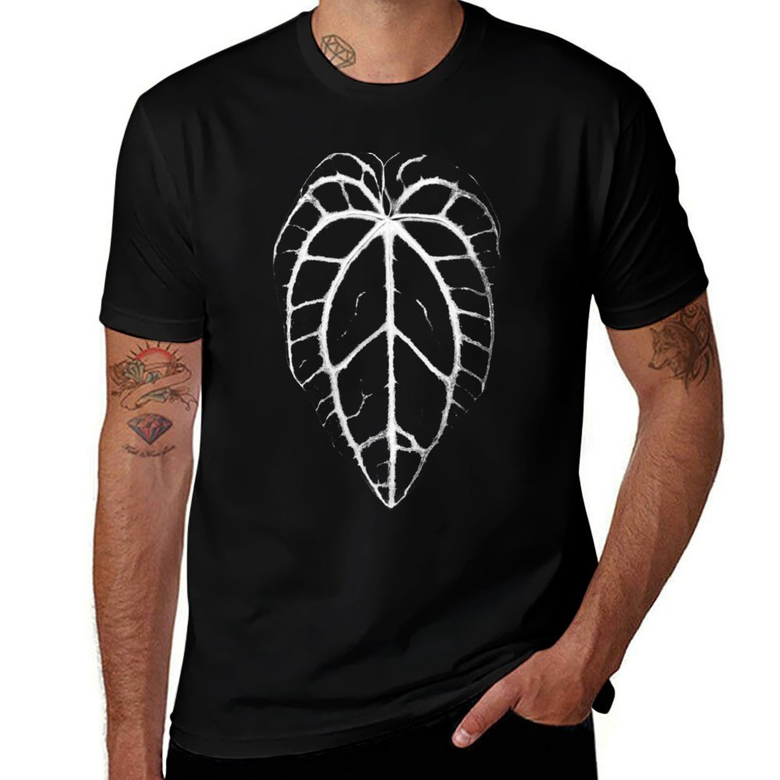 ANTHURIUM CRYSTALLINUM VEINS T – Anthurium Crystallinum Bewertung und Preis