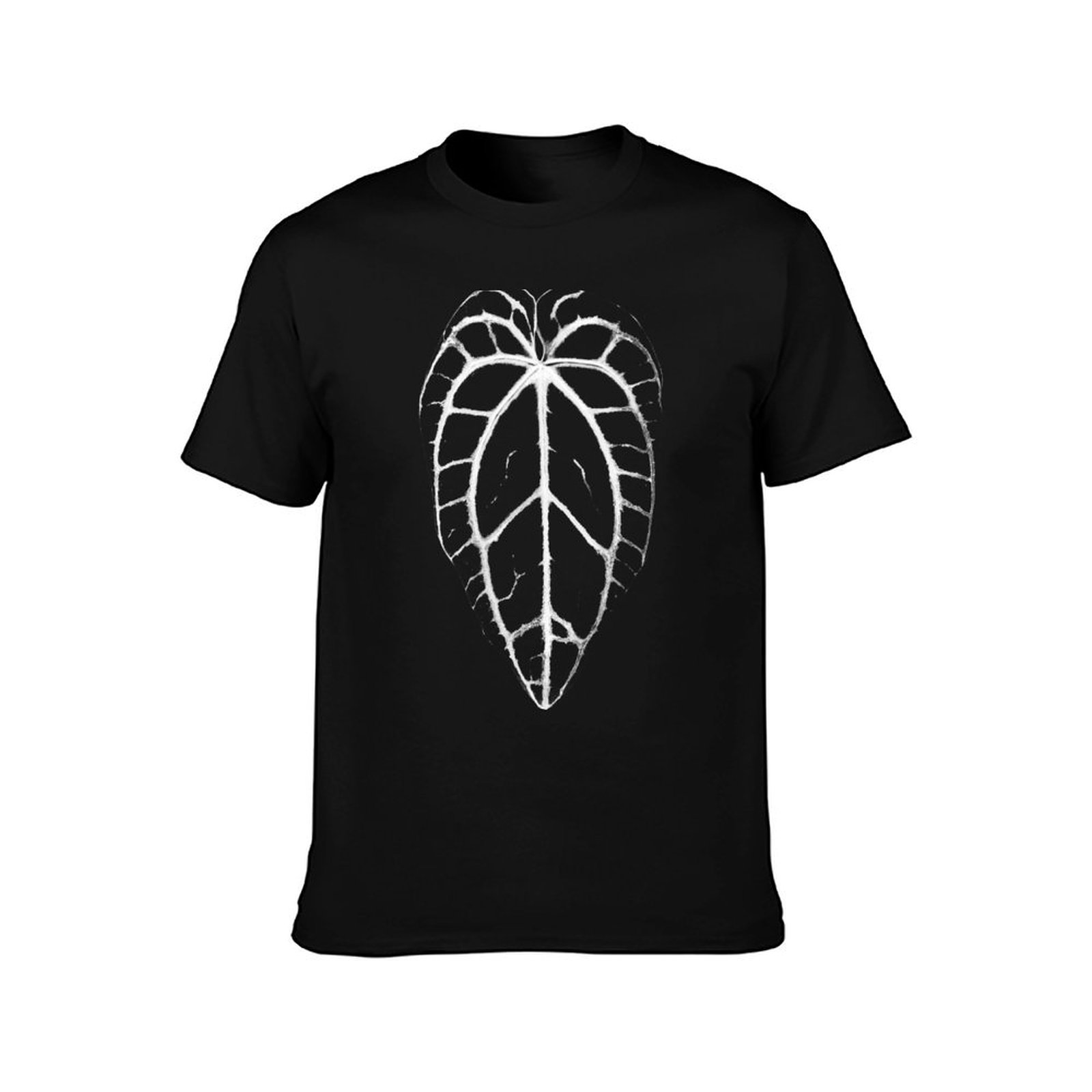 ANTHURIUM CRYSTALLINUM VEINS T – Anthurium Crystallinum Bewertung und Preis