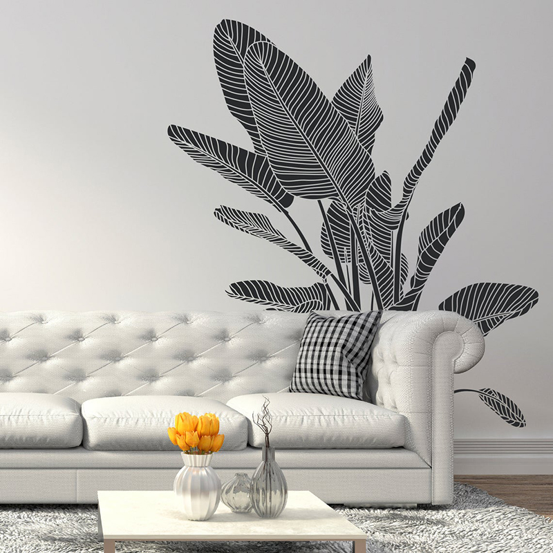 Vogel Von Paradise Tropische P – Monstera Thai Constellation Bewertung und Preis