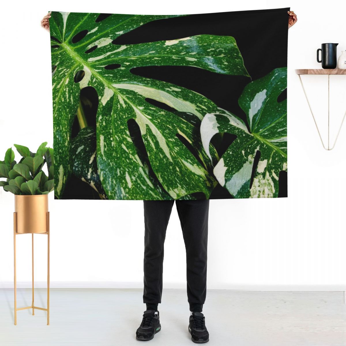 Monstera Thai Constellation Wu – Monstera Thai Constellation Bewertung und Preis