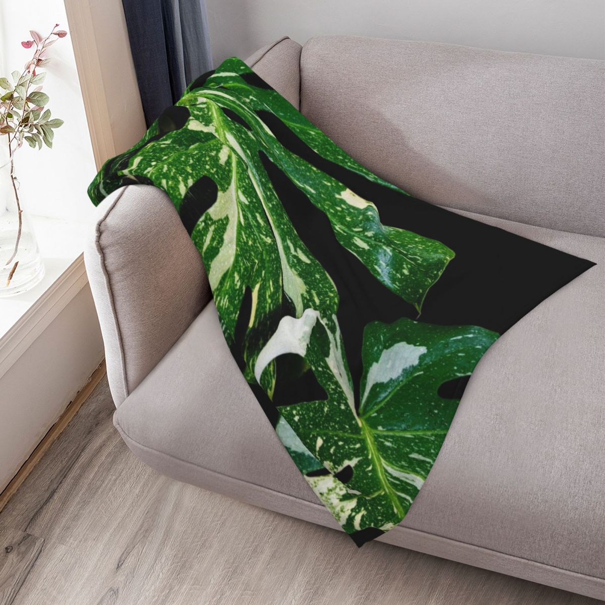 Monstera Thai Constellation Wu – Monstera Thai Constellation Bewertung und Preis