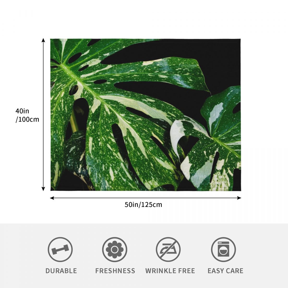 Monstera Thai Constellation Wu – Monstera Thai Constellation Bewertung und Preis