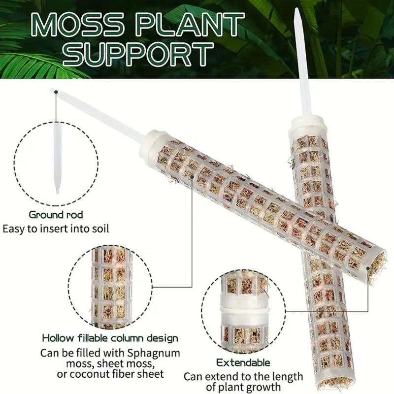 Pflanzen-Klettergerüst Auszieh – Monstera Thai Constellation Bewertung und Preis