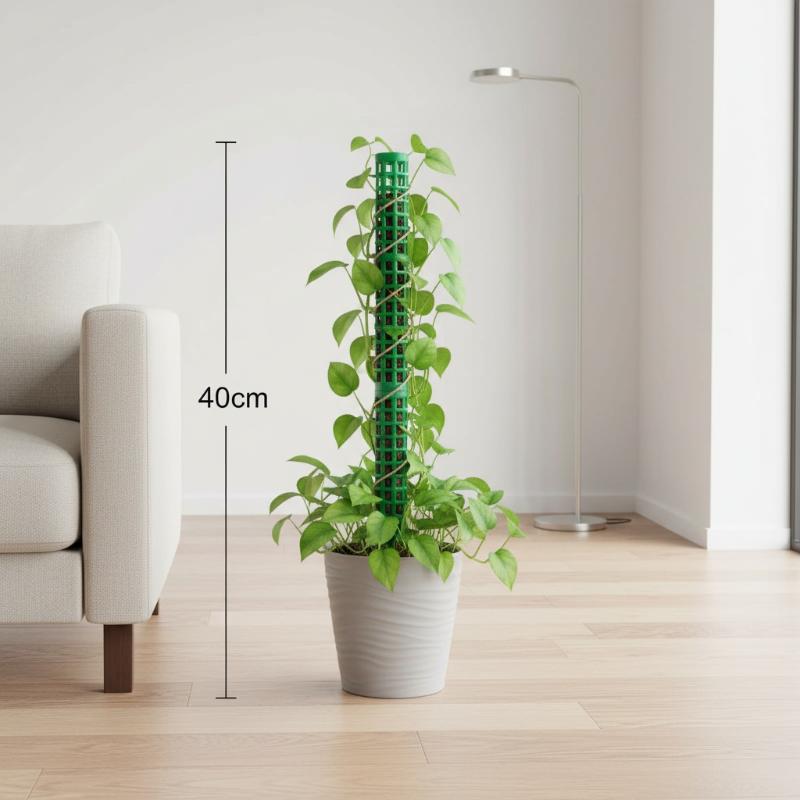 Pflanzen-Klettergerüst Auszieh – Monstera Thai Constellation Bewertung und Preis