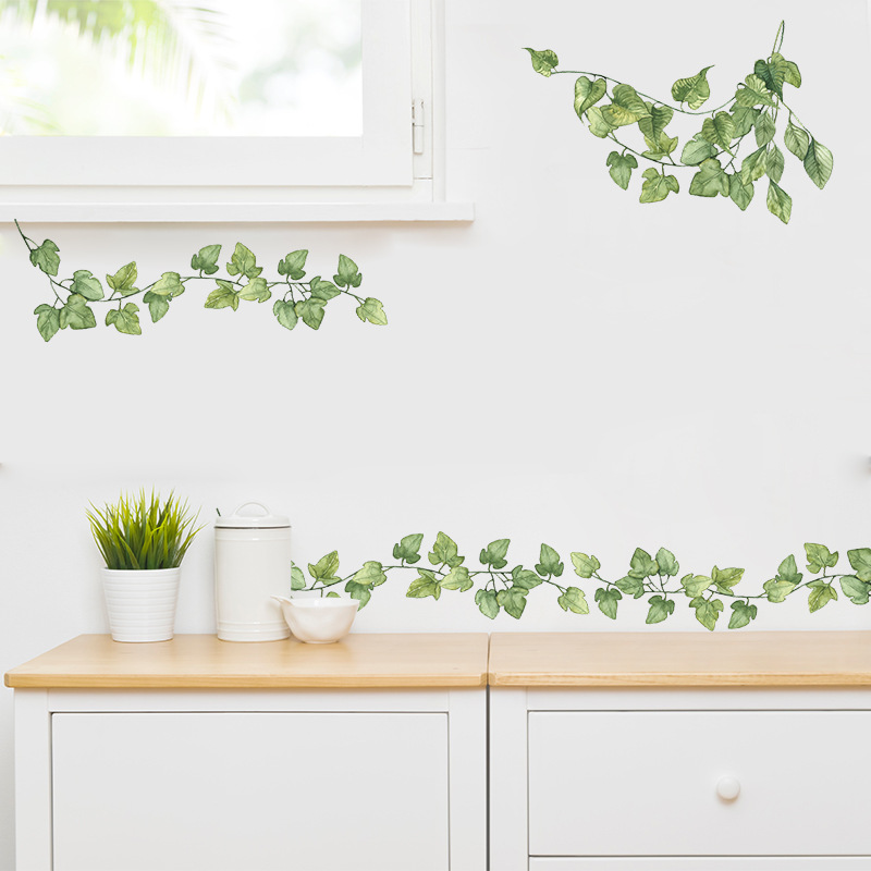 1 Stück kleine frische grüne B – Monstera Thai Constellation Bewertung und Preis